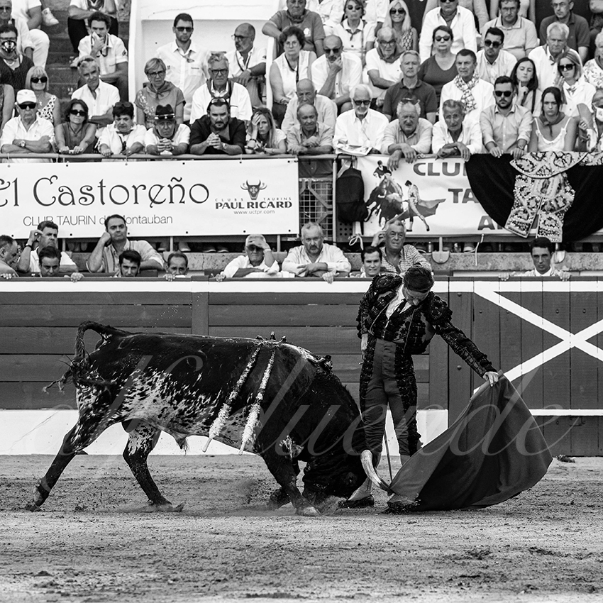 20220720 mont de marsan 008