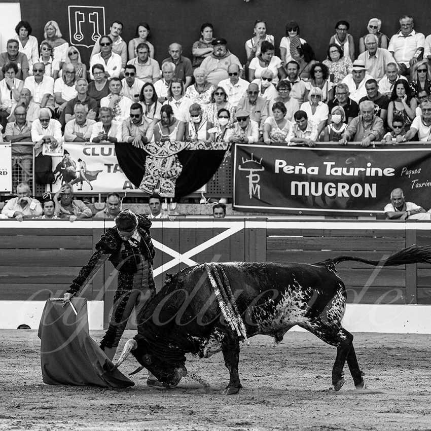 20220720 mont de marsan 009