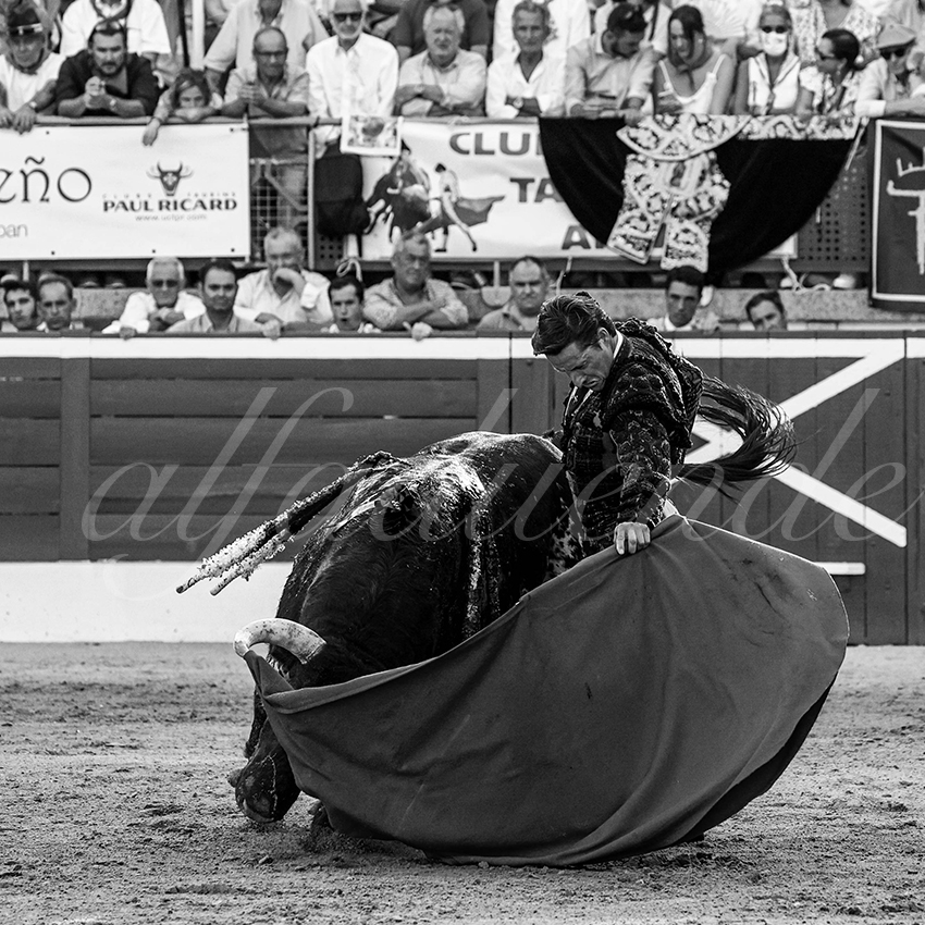 20220720 mont de marsan 010