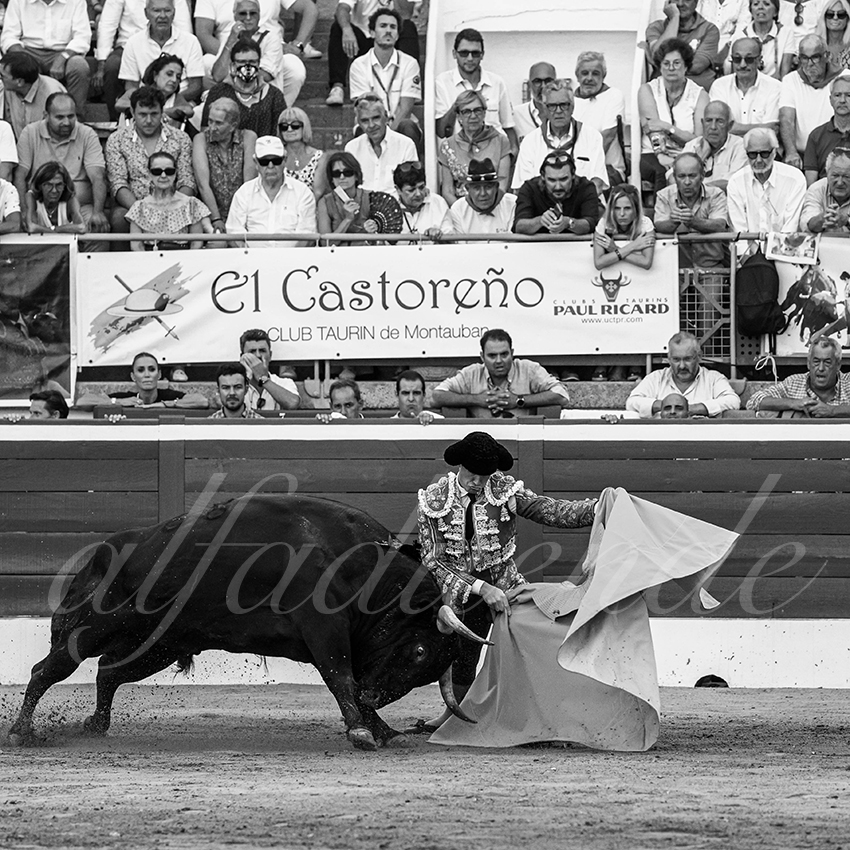 20220720 mont de marsan 011