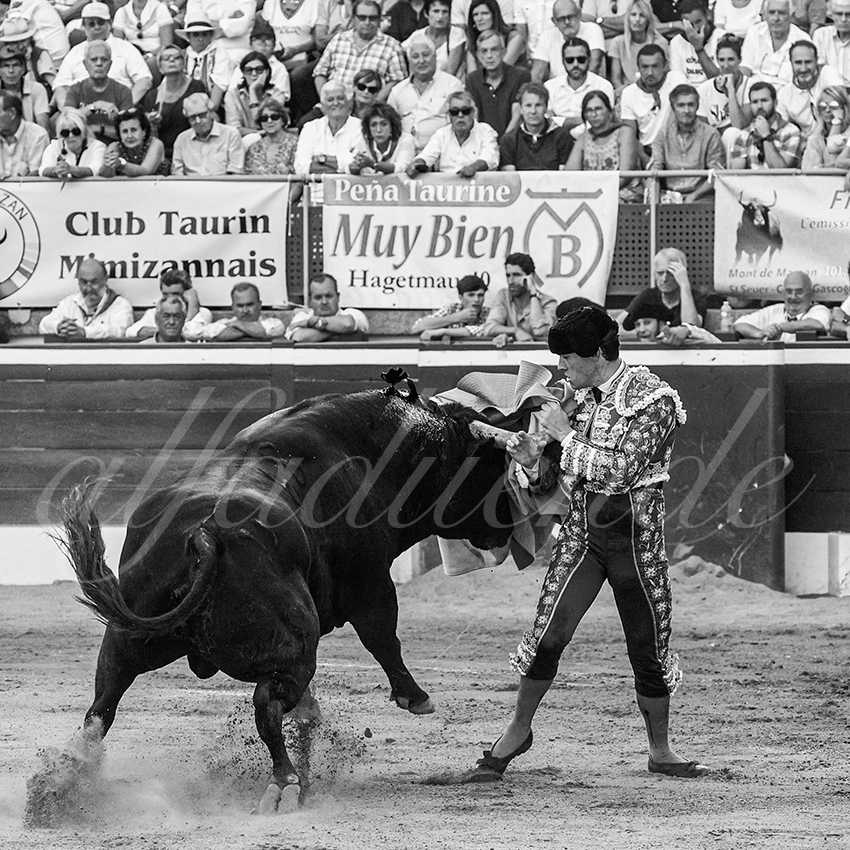 20220720 mont de marsan 012