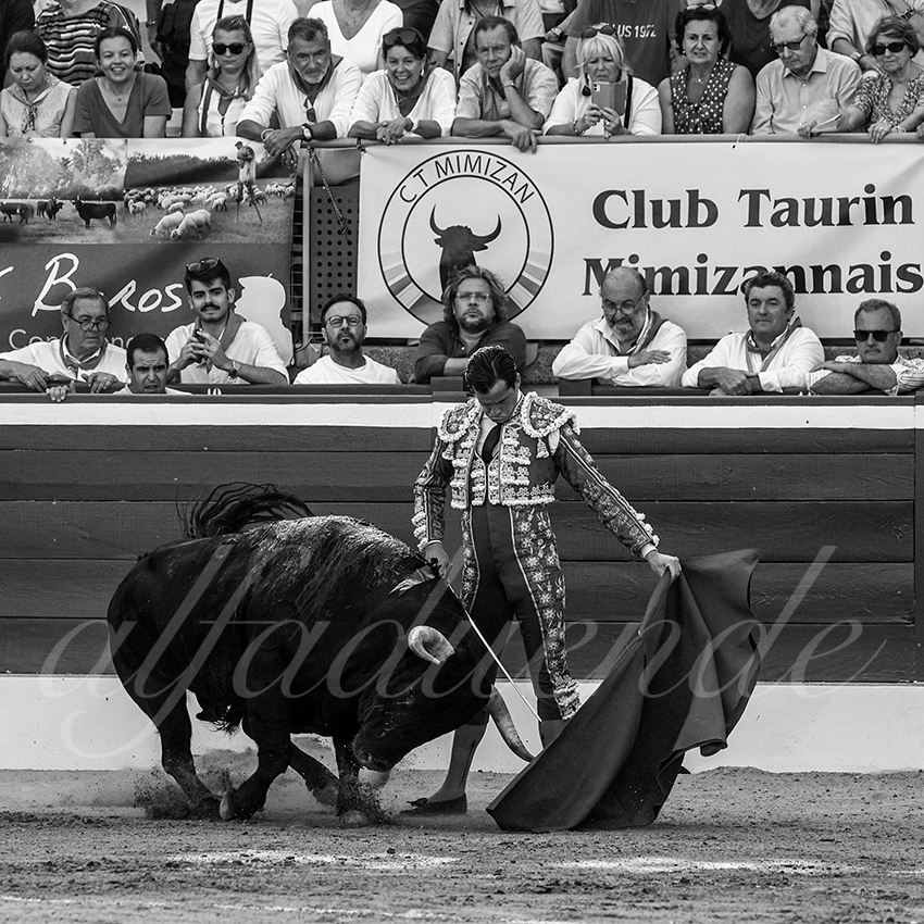 20220720 mont de marsan 013