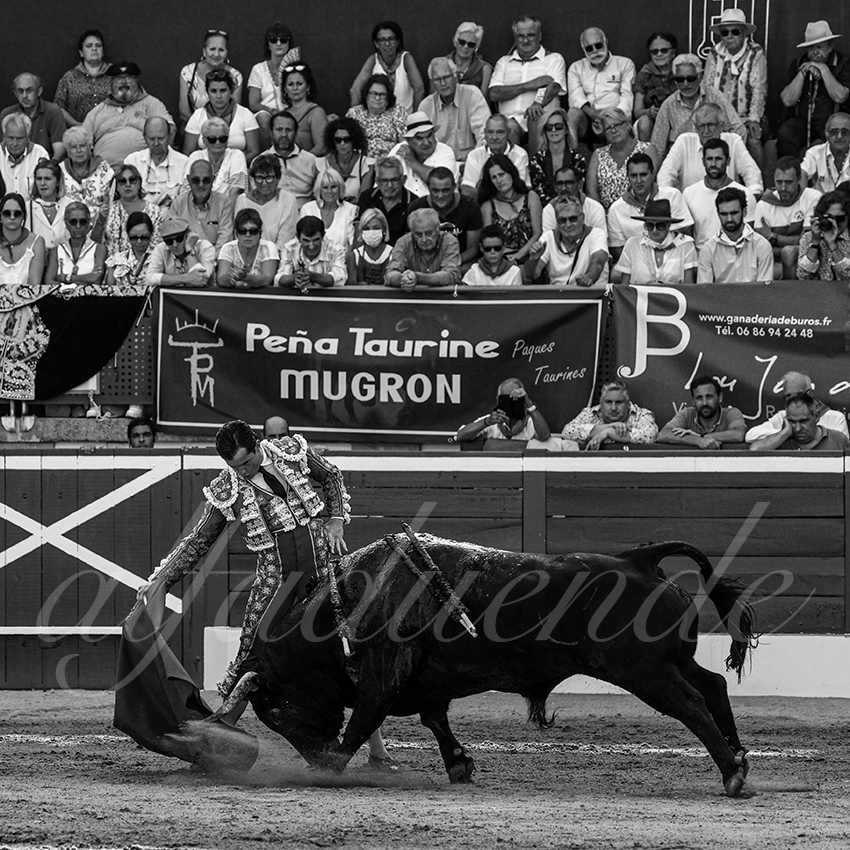 20220720 mont de marsan 015