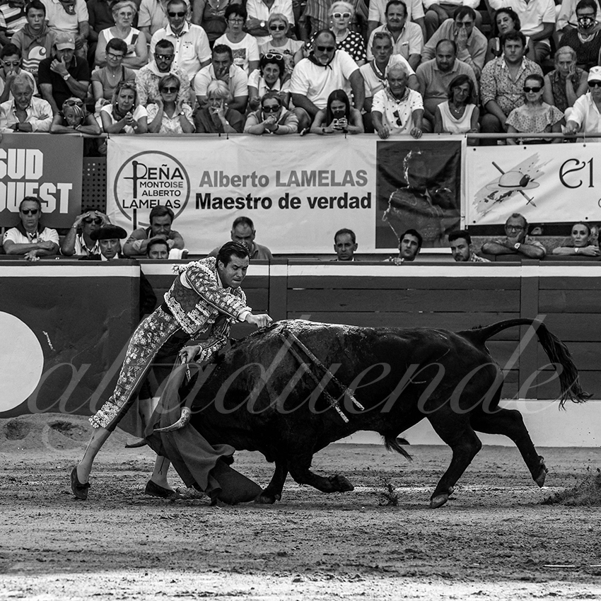 20220720 mont de marsan 016