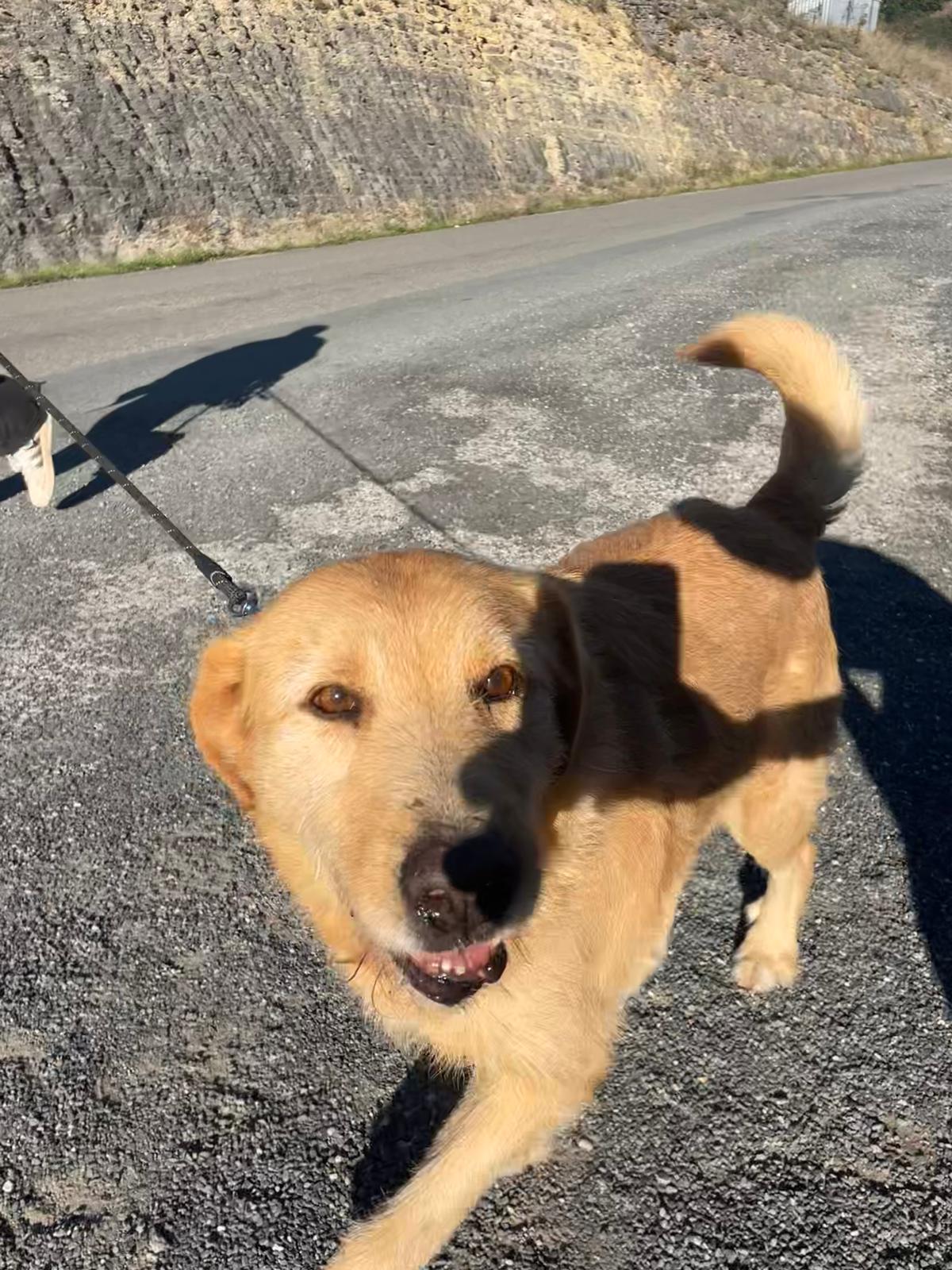 Whatsapp image 2024 10 13 at 17 30 56