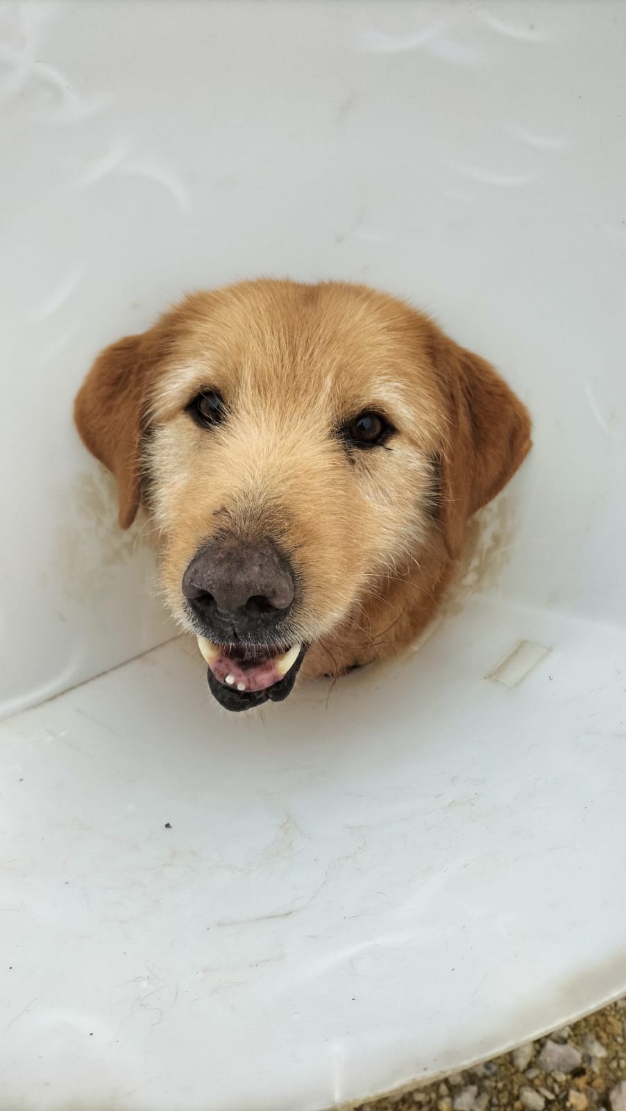 Whatsapp image 2025 02 12 at 19 35 58