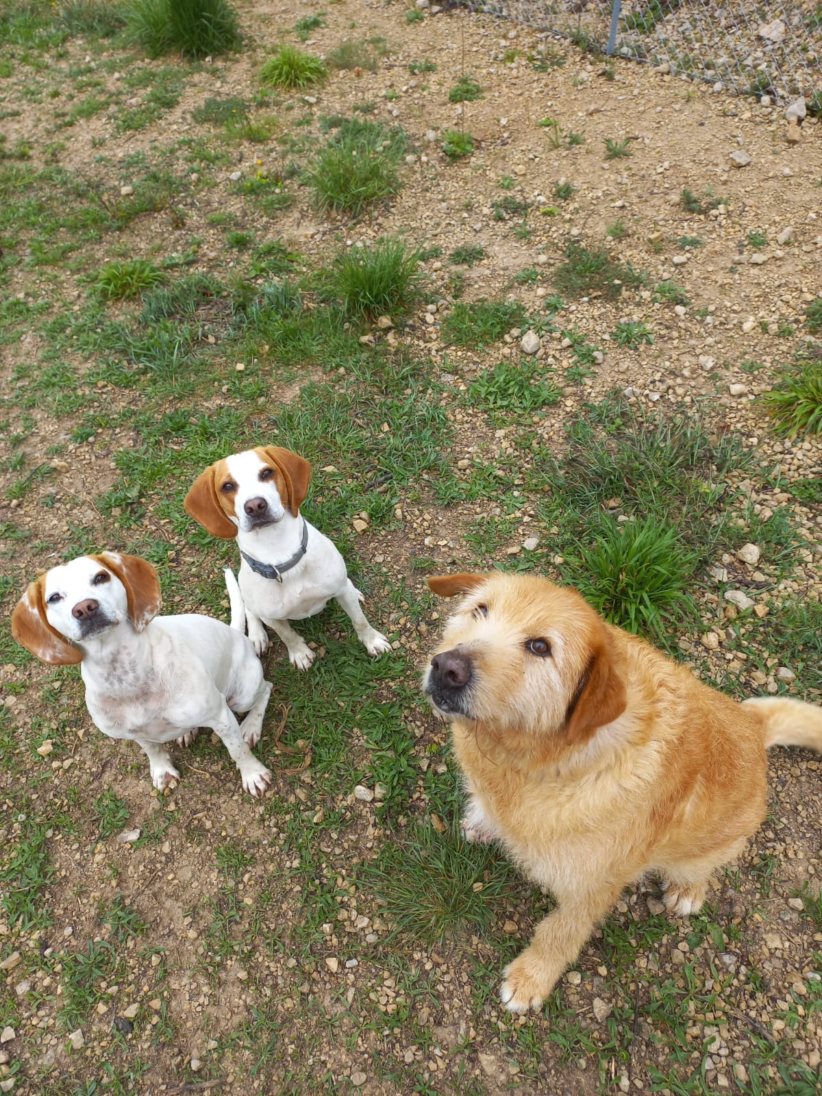 Whatsapp image 2025 04 13 at 20 15 45