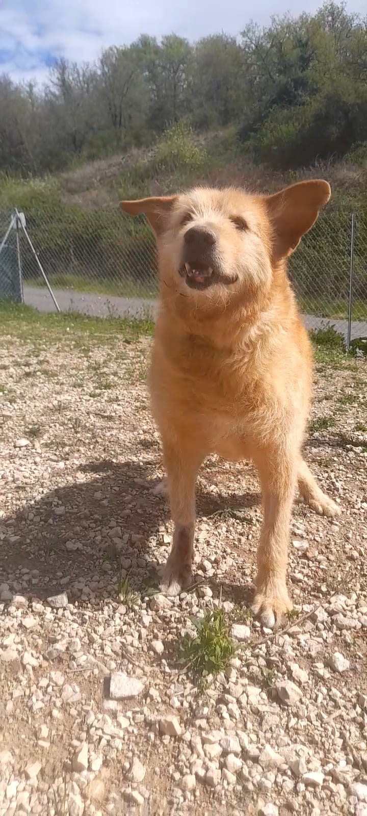 Whatsapp image 2025 04 18 at 17 11 55