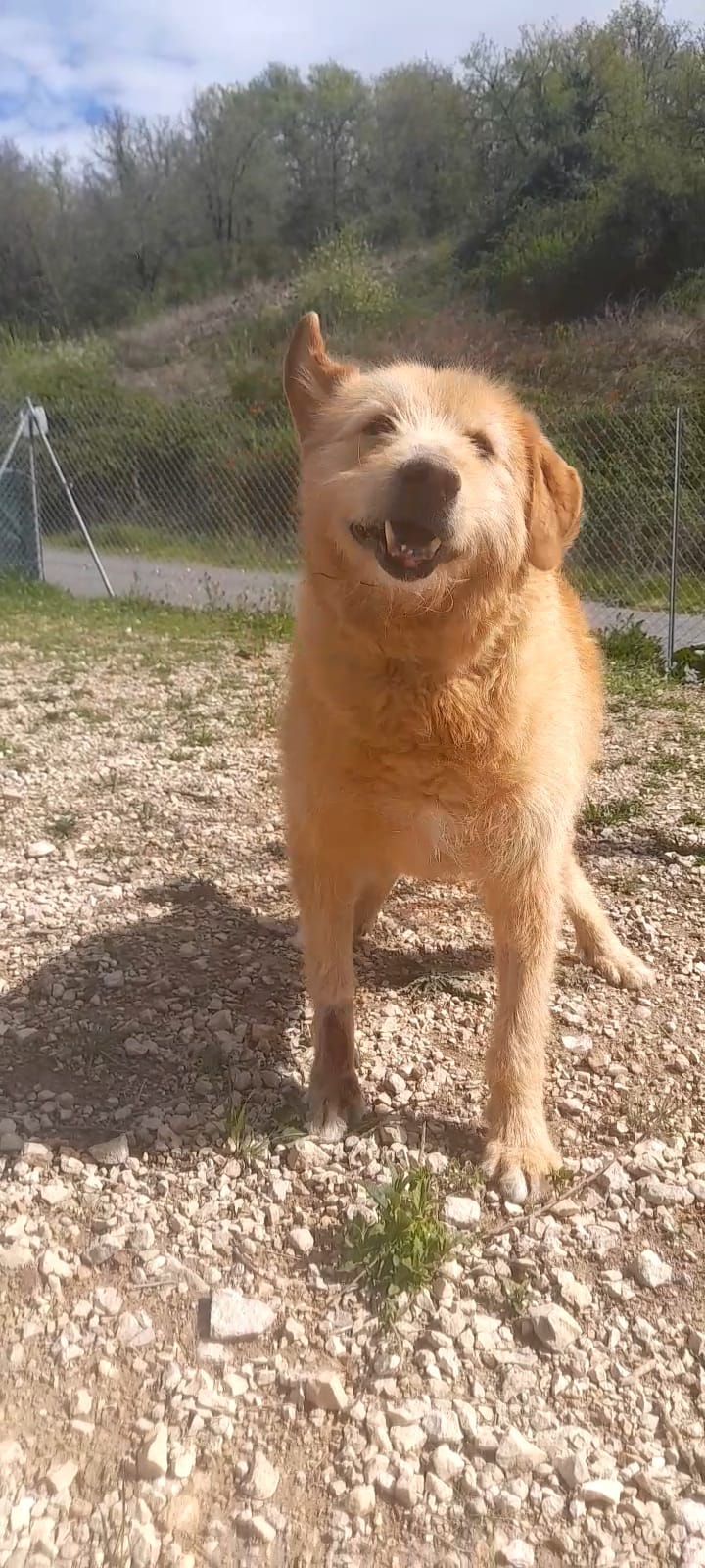 Whatsapp image 2025 04 18 at 17 11 50