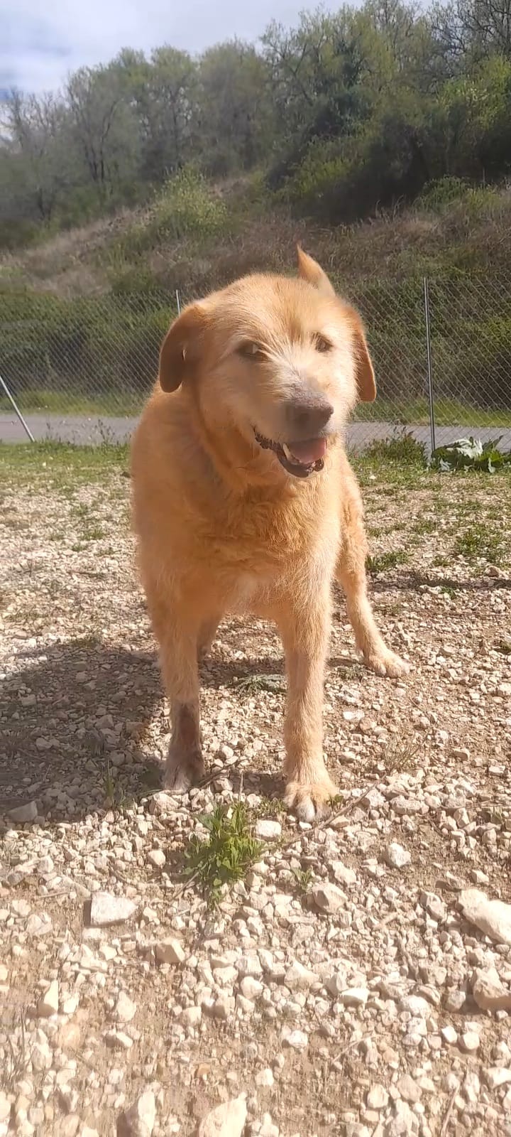 Whatsapp image 2025 04 18 at 17 11 41