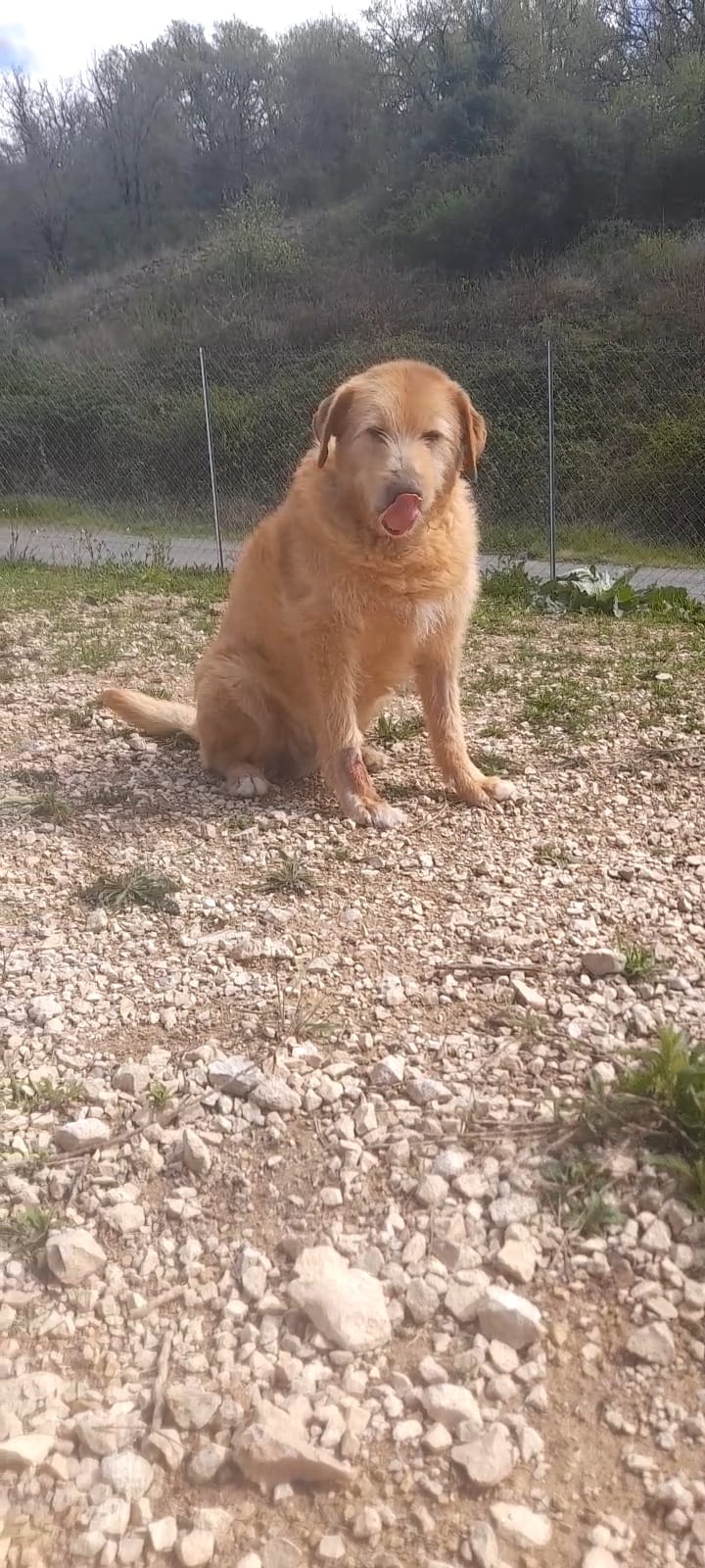 Whatsapp image 2025 04 18 at 17 11 57