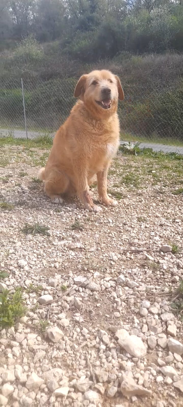 Whatsapp image 2025 04 18 at 17 12 08