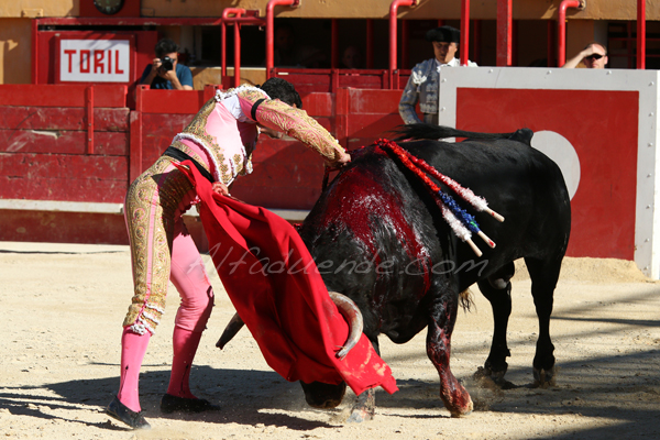 Mauguio 20170702 11