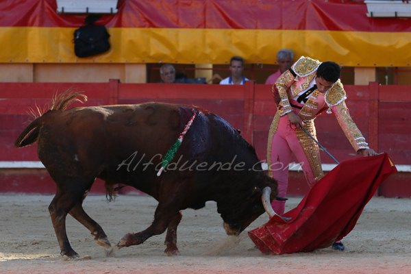 Mauguio 20170702 16