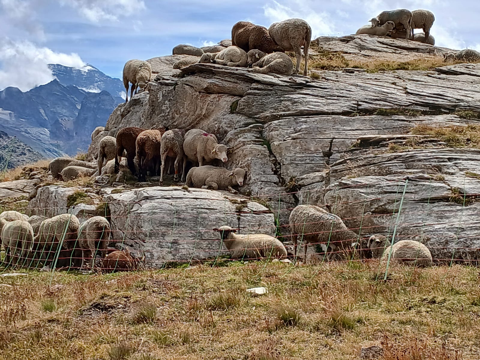 Maurienne dm 2026 7 