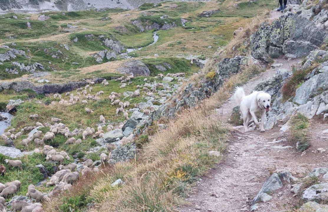 Maurienne dm 2026 13 