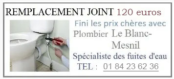 Remplacement joint Le Blanc-Mesnil