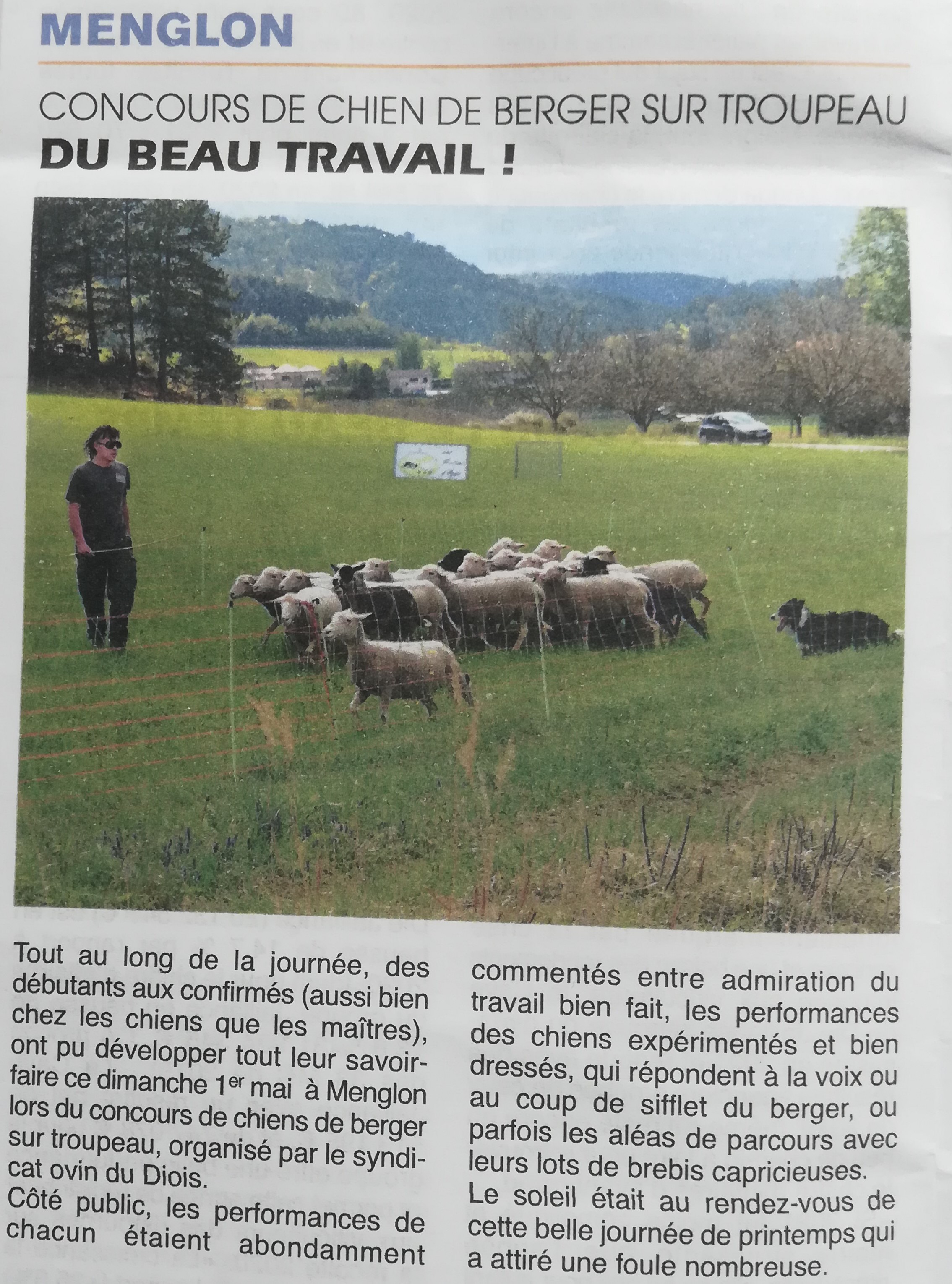 Concours Chiens de berger