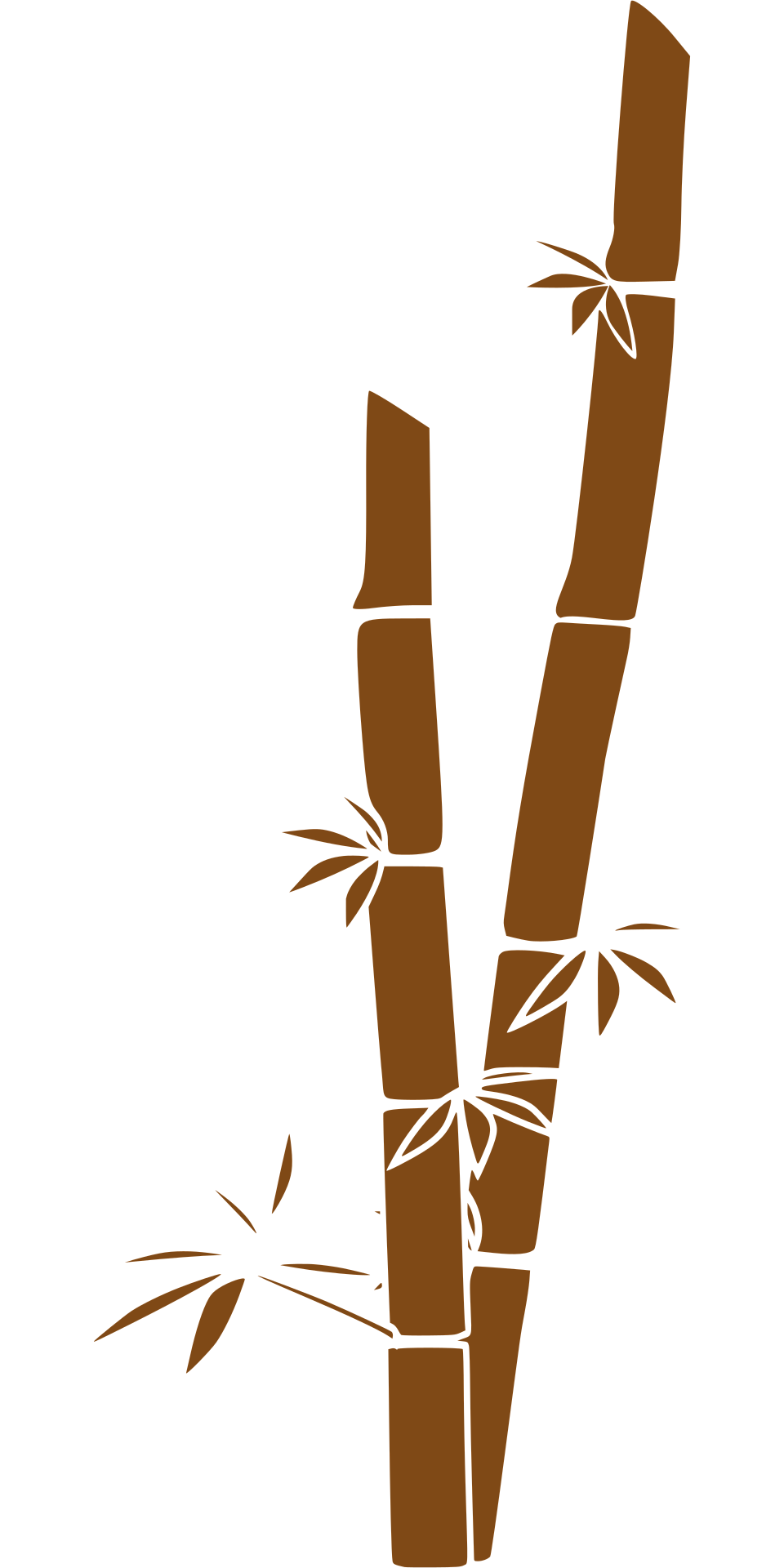 Clker-free-vector-images-bamboo-308877 1920