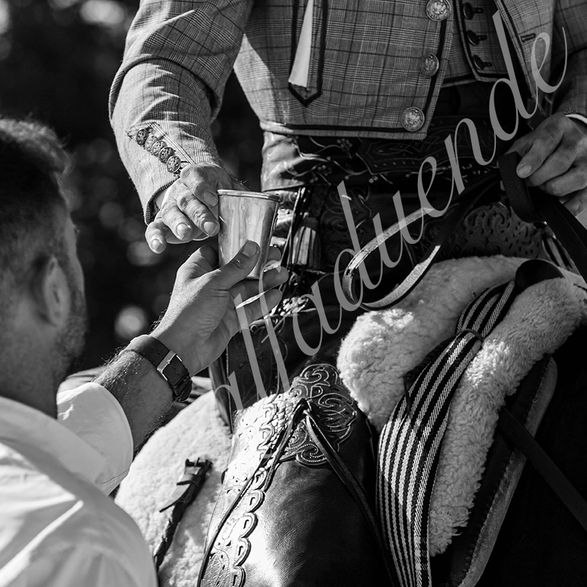 20210717 mejanes alfaduende 0001