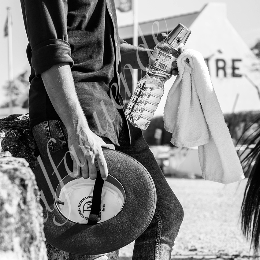 20210717 mejanes alfaduende 0004