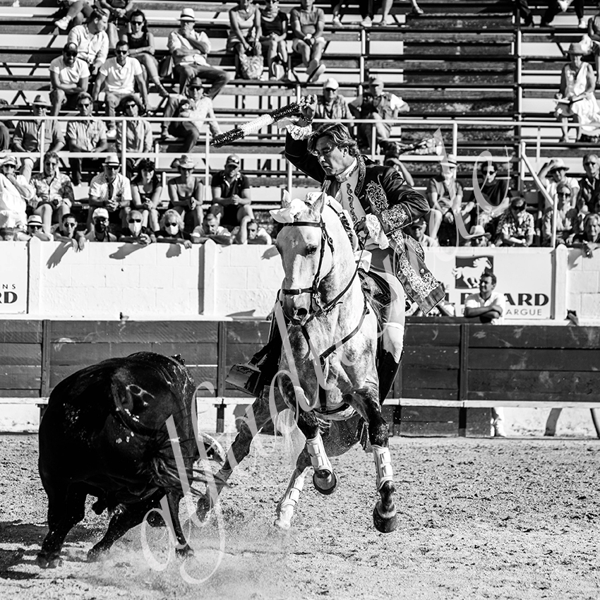 20210717 mejanes alfaduende 0006