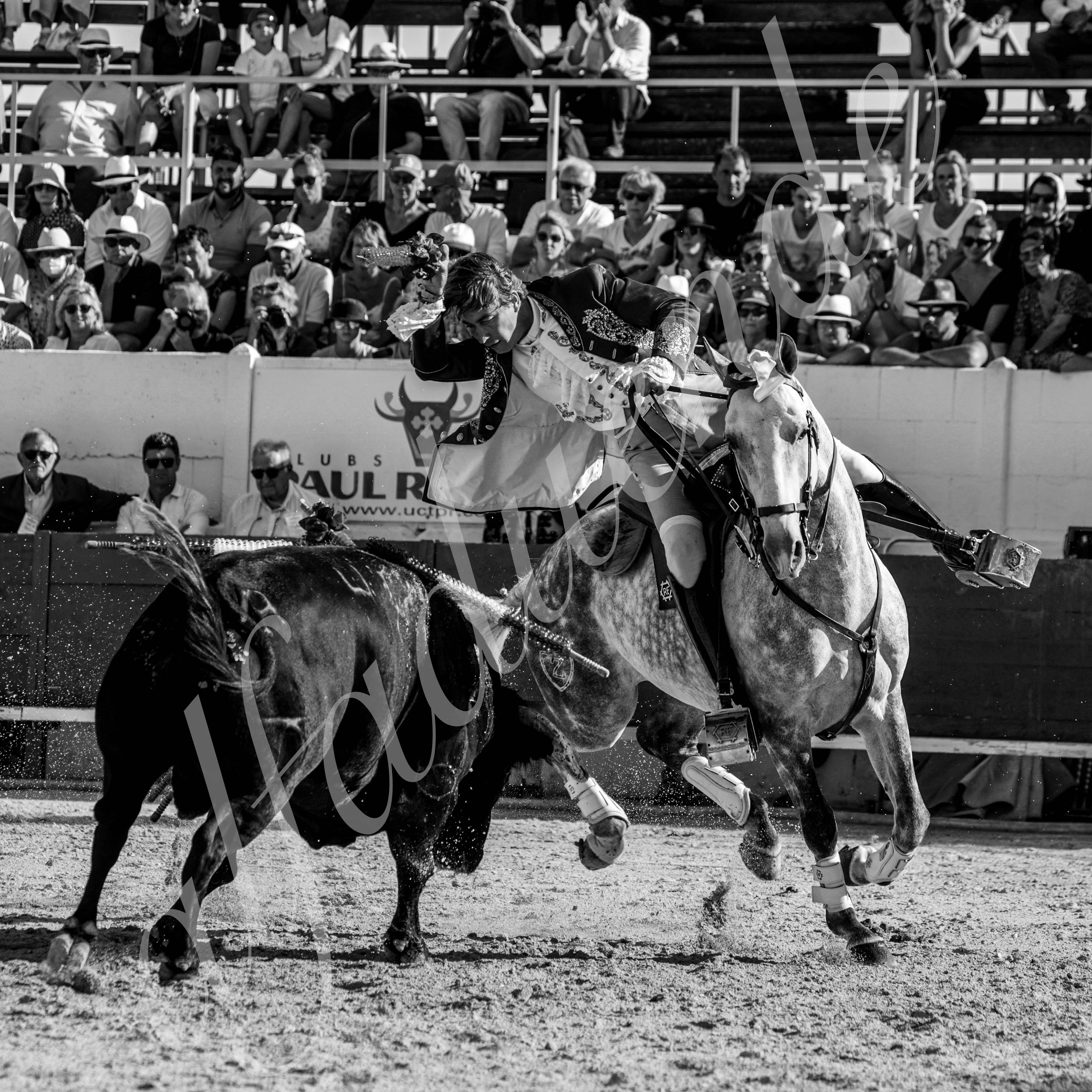 20210717 mejanes alfaduende 0007