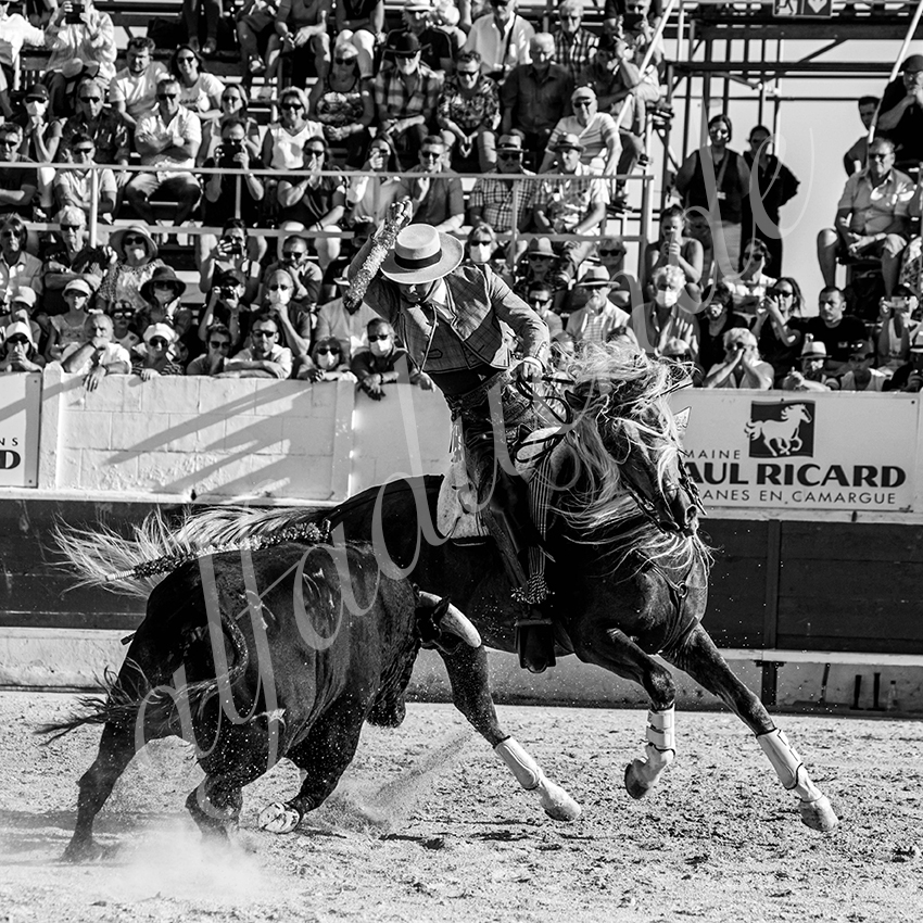 20210717 mejanes alfaduende 0008