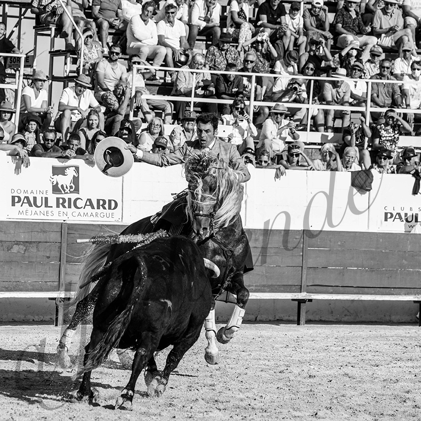 20210717 mejanes alfaduende 0009