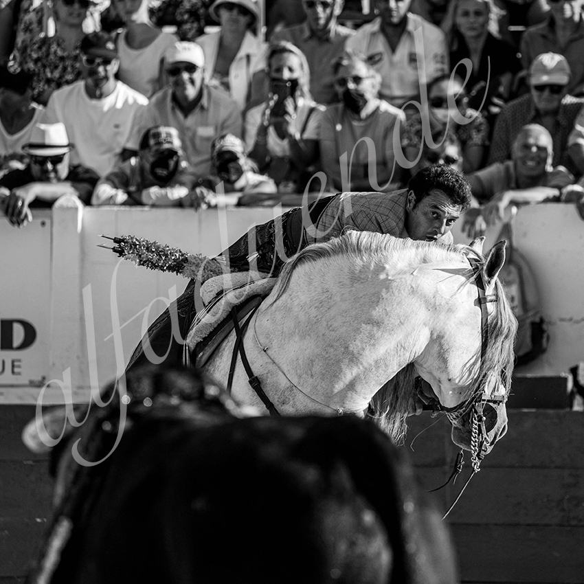 20210717 mejanes alfaduende 0010