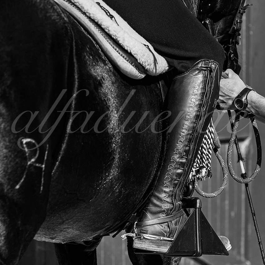 20220714 mejanes 001