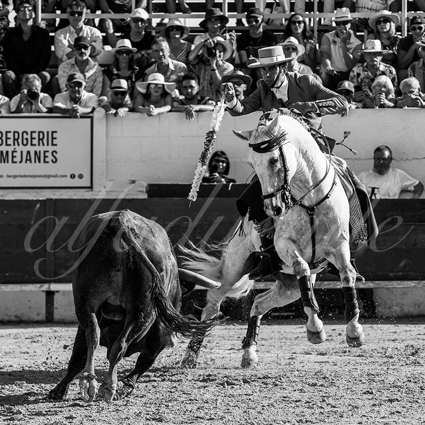 20220714 mejanes 005