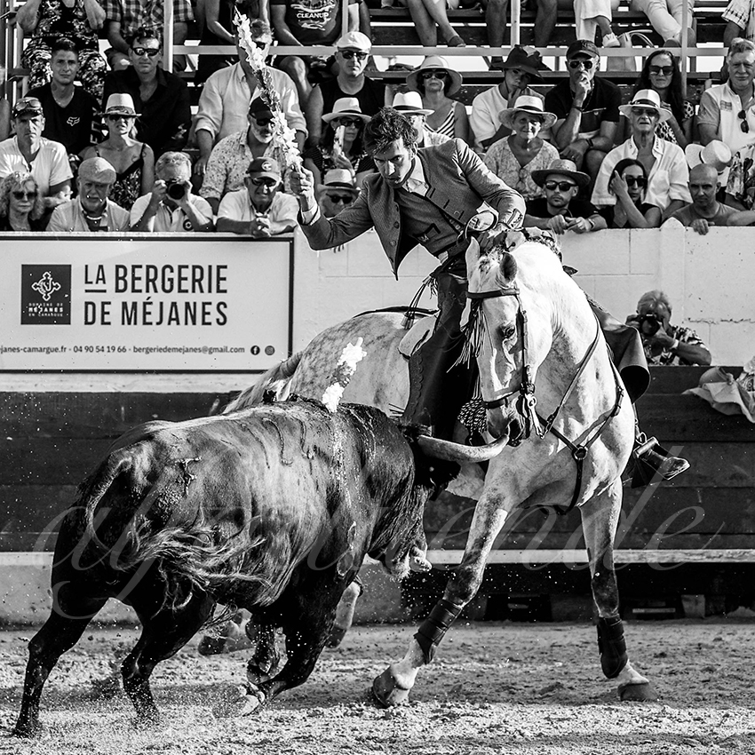 20220714 mejanes 006