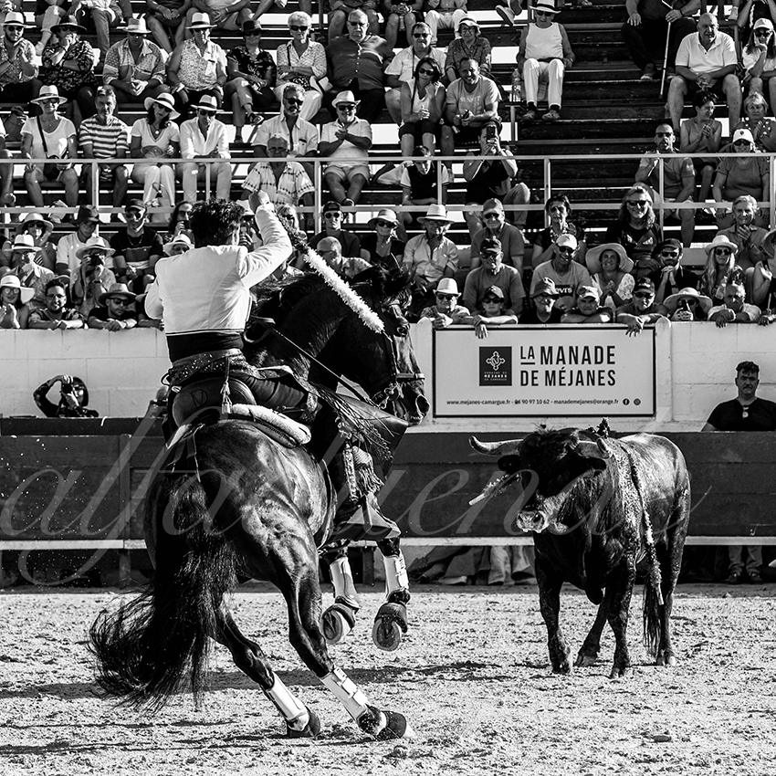 20220714 mejanes 007