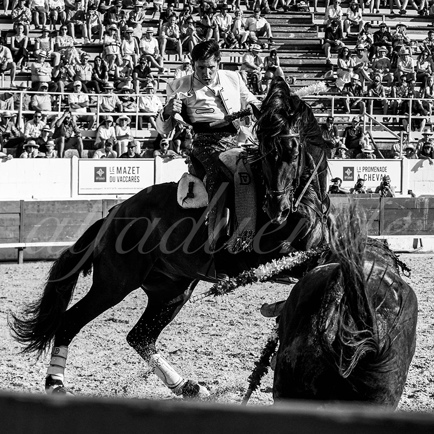 20220714 mejanes 008