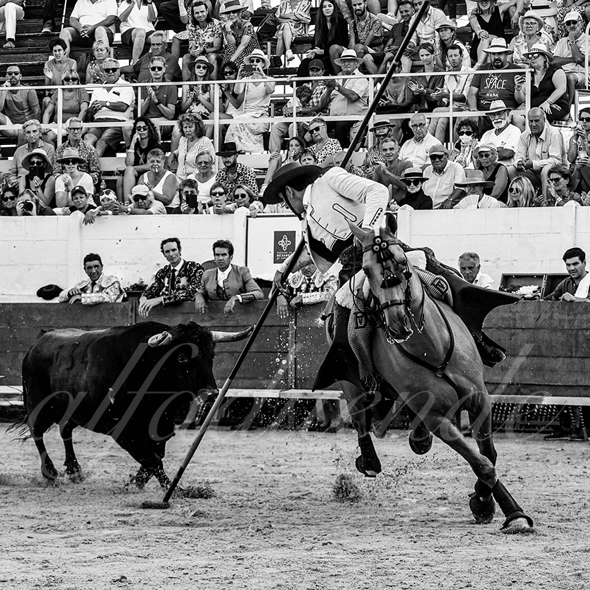 20220714 mejanes 010