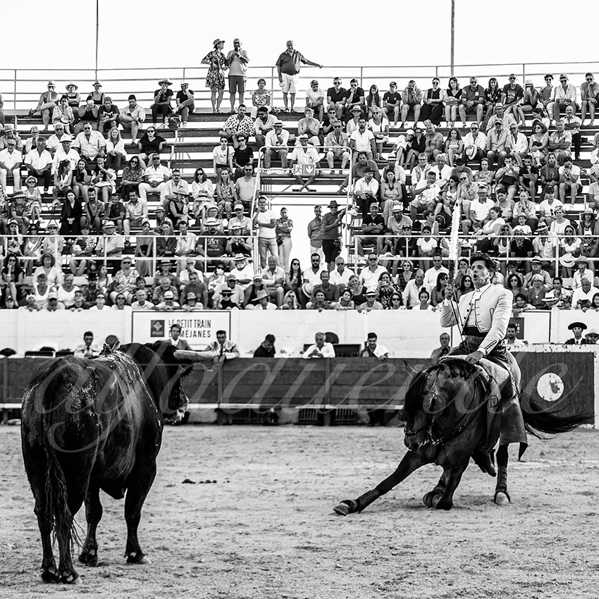 20220714 mejanes 011