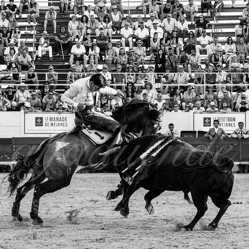 20220714 mejanes 012