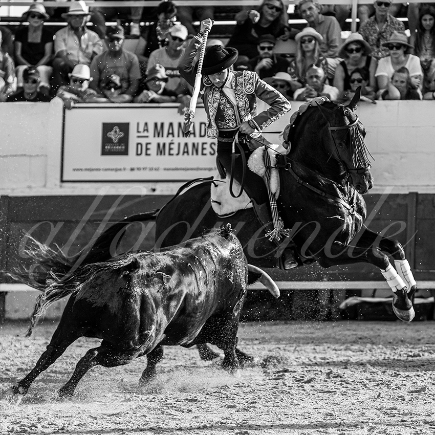 20220714 mejanes 013