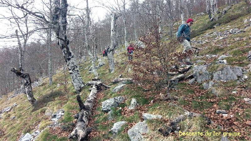 Img9294