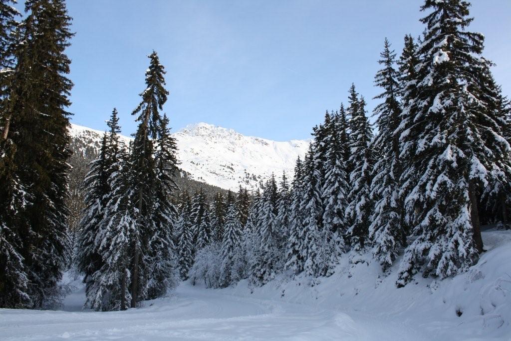 12 meribel 46 