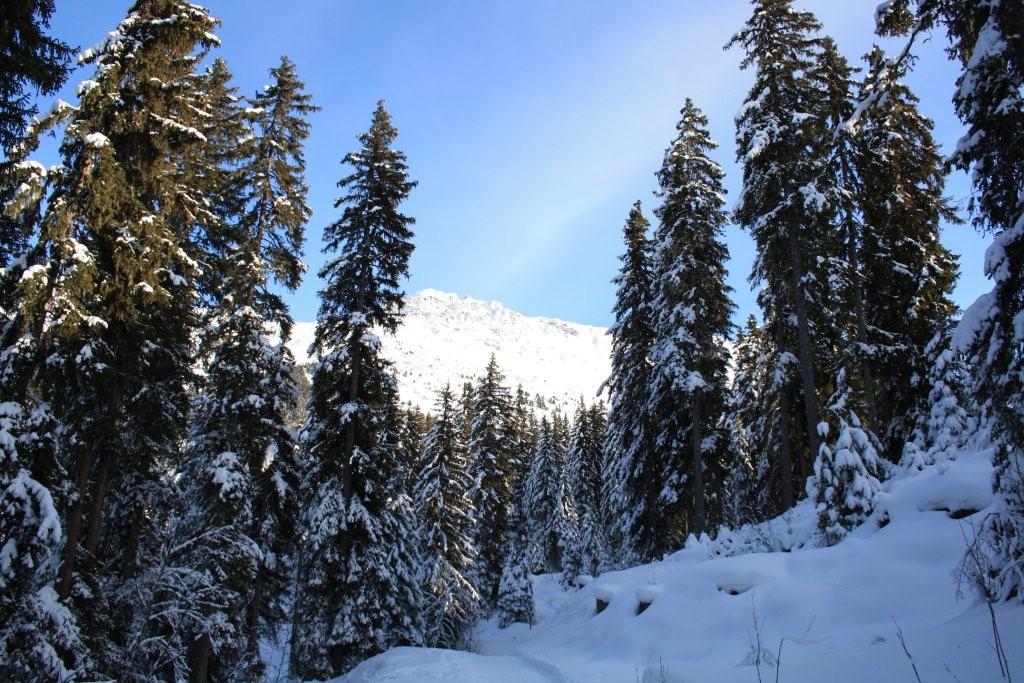 12 meribel 8 