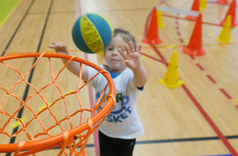 Micro basket 2