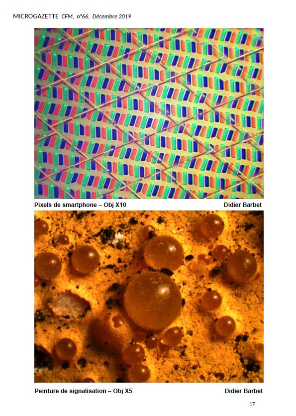 Microgazette no66 p17