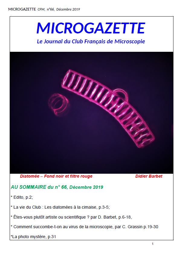 Microgazette no66 p1