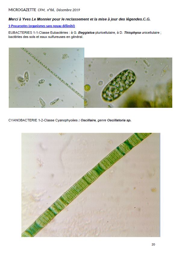 Microgazette no66 p20