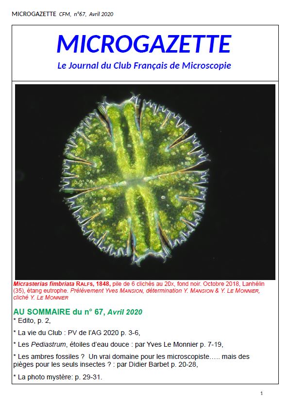 Microgazette no67 p1 