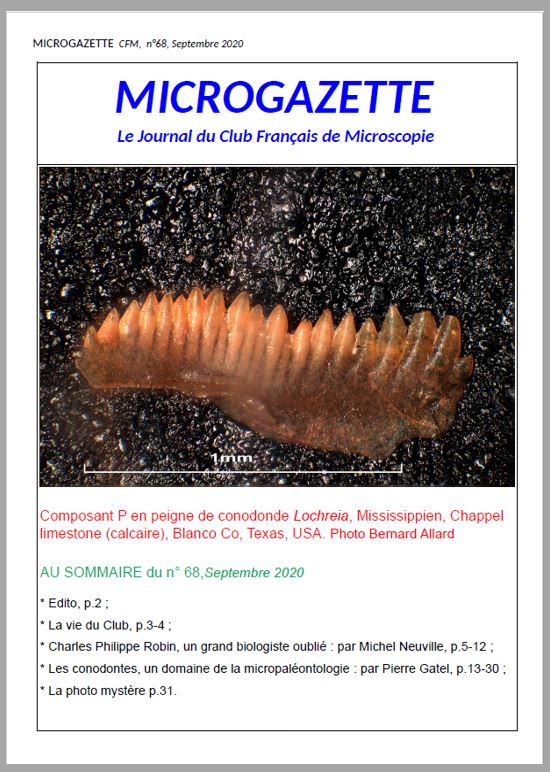 Microgazette no68 p1