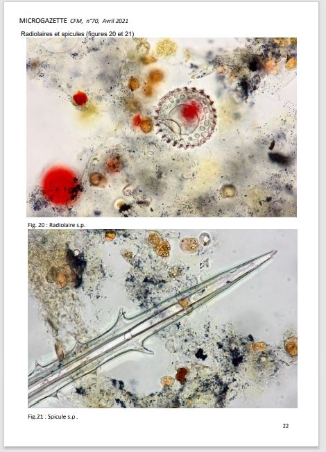 Microgazette no70 p22