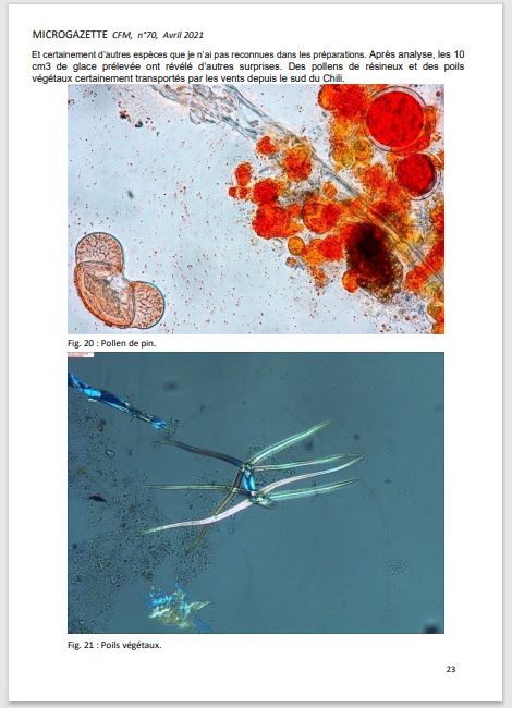 Microgazette no70 p23